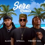 DJ Spinall Sere Remix 2