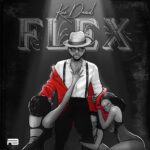 Kizz Daniel Flex