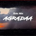 Shatta Wale – Agradaa 696x464 1