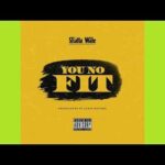 Shatta Wale – You No Fit