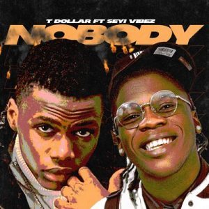 T Dollar – Nobody Ft. Seyi Vibez