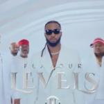 Flavour - Levels Instrumental