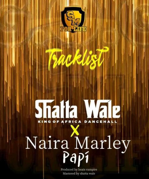 Shatta Wale – Papi ft. Naira Marley