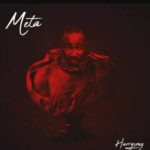 Harrysong - Meta