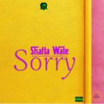 Shatta Wale – Sorry