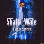 Shatta Wale – Cold Store