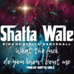 Shatta Wale – What The Fvck Do You Know About Me