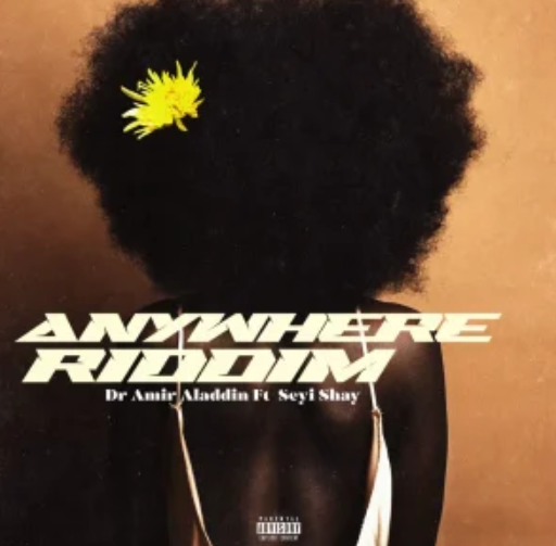 Dr Amir Aladdin – Anywhere Riddim ft. Seyi Shay