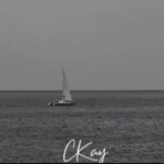 Ckay – You Cheated I Cheated Too