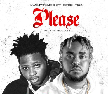 Kashytunes - Please Ft Berri Tiga