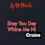 DJ YK Mule – Shey You Dey Whine Ni (Cruise)