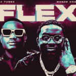 DJ Tunez – Flex ft. Wande Coal