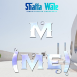 Shatta wale - M (Me)