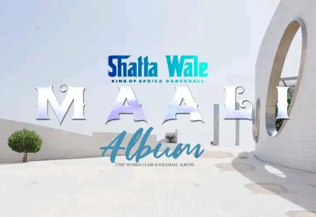 Shatta Wale – Show Mi (Me)