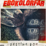 Destiny Boy – Ebokolorfar