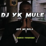 Dj Yk Mule – Aye Mi Bola Dance