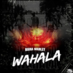 Naira Marley - Wahala