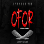 Sparkle Tee – Ofor