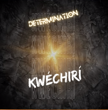 Determination - Kwechiri