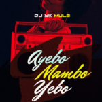 Dj Yk Mule – Ayebo Mambo Yebo