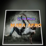 Dj Yk Mule – Mara Afro